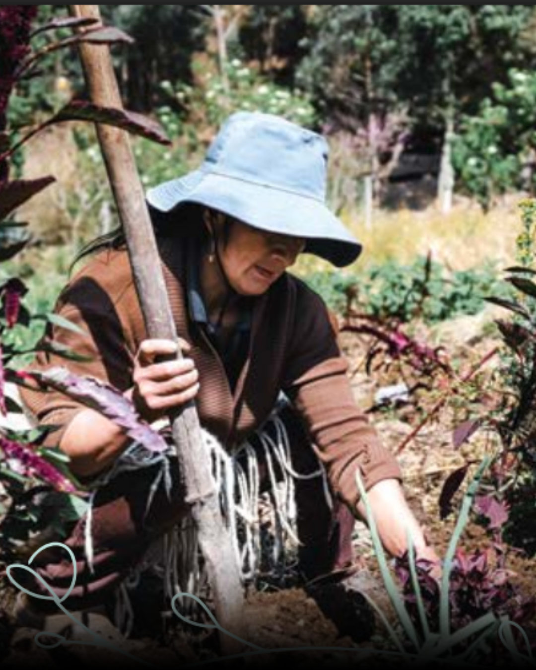 Investigación de la horchata 